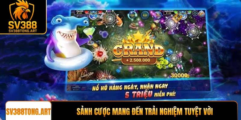 Sảnh cược tại nhà cái uy tín mang đến trải nghiệm tuyệt vời