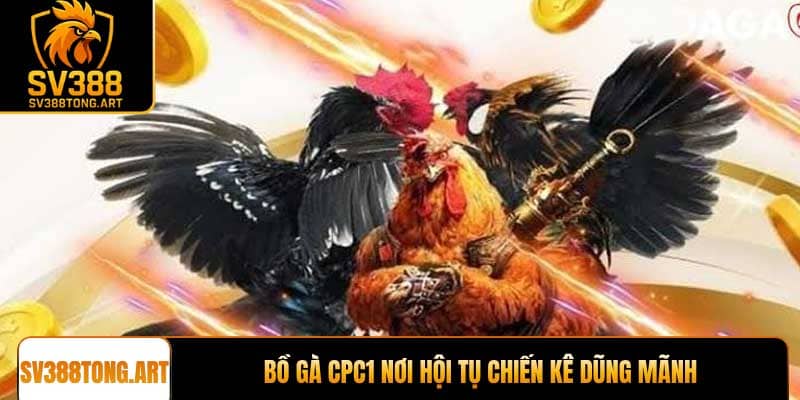 Bồ gà CPC1 nơi hội tụ chiến kê dũng mãnh