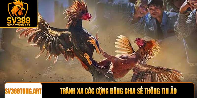 Tránh xa các cộng đồng chia sẻ thông tin ảo