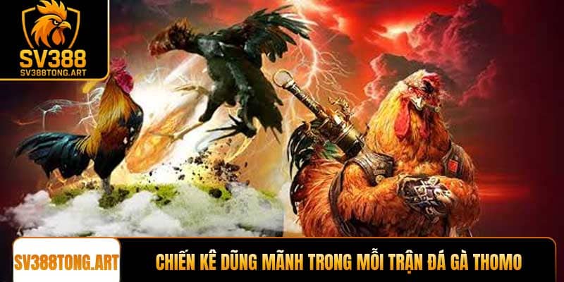 Chiến kê dũng mãnh trong mỗi trận đá gà Thomo