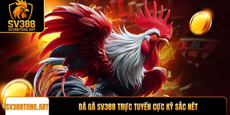 Đá gà SV388 trực tuyến cực kỳ sắc nét
