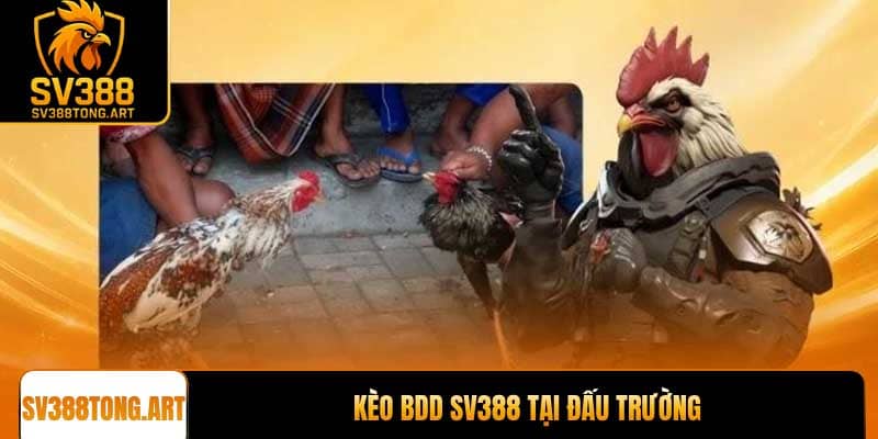 Kèo BDD SV388 tại đấu trường