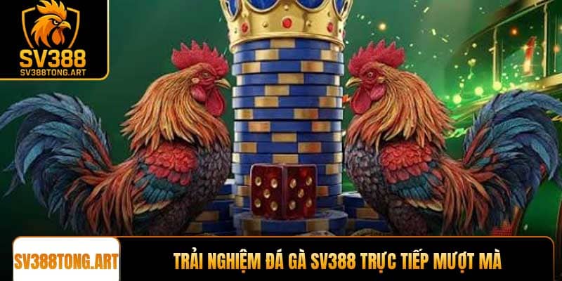 Trải nghiệm đá gà SV388 trực tiếp mượt mà