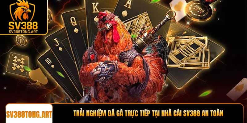 Trải nghiệm đá gà trực tiếp tại nhà cái SV388 an toàn