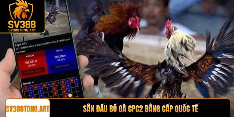 Sân đấu Bồ gà CPC2 đẳng cấp quốc tế