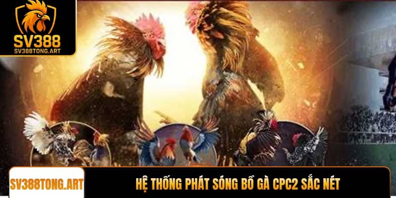 Hệ thống phát sóng Bồ gà CPC2 sắc nét